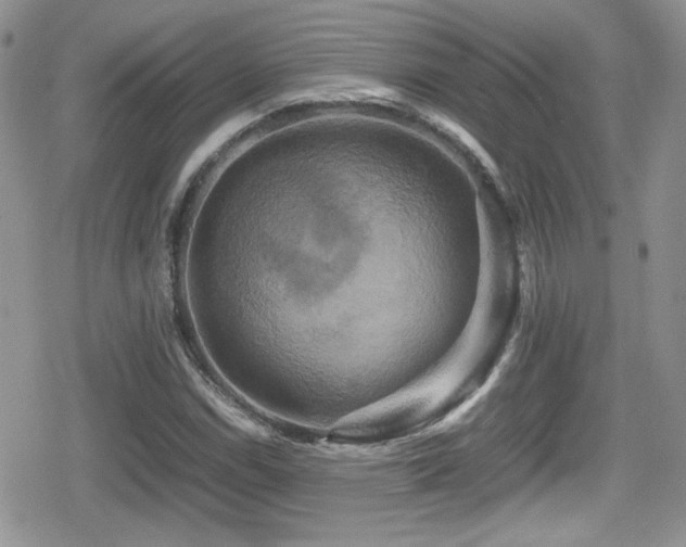 X0000080751114200612151307