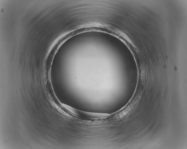 X0000080751116200612151307