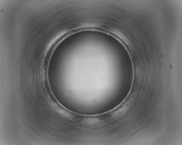 X0000080751119200612151307