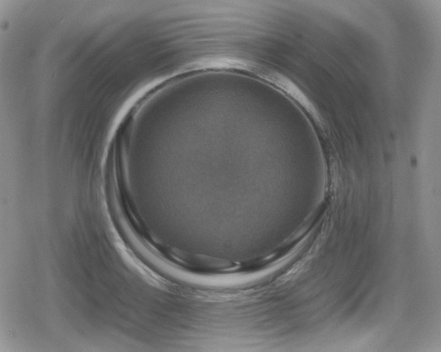 X0000080751132200612151308