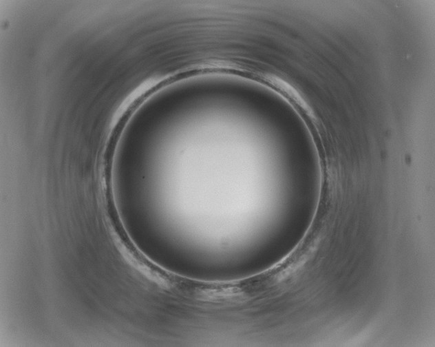 X0000080751133200612151308