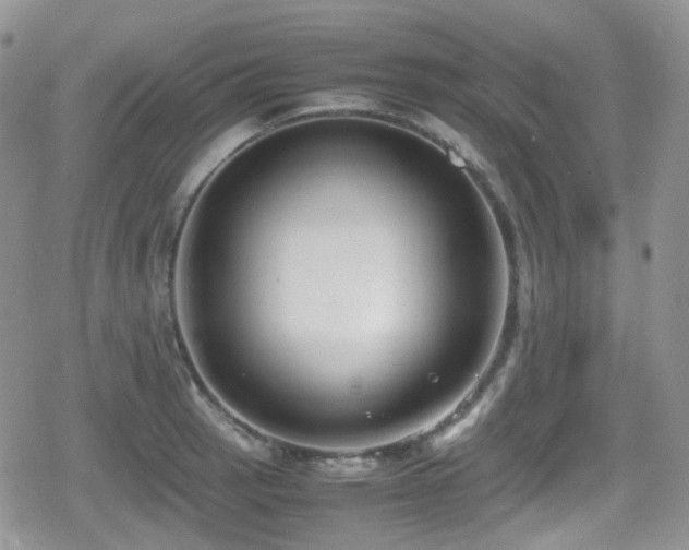 X0000080751137200612151308