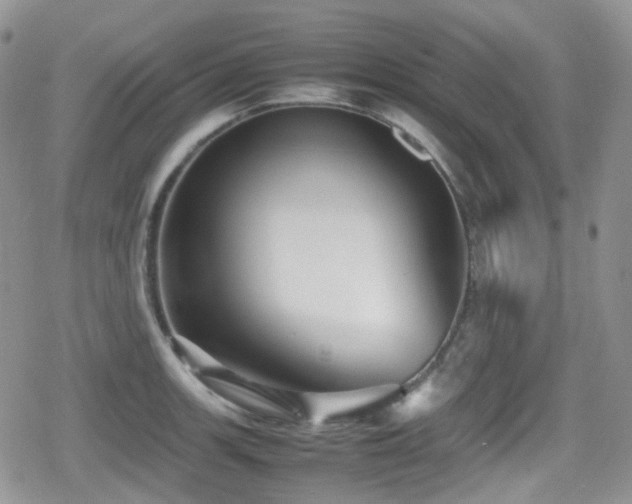 X0000080751139200612151308