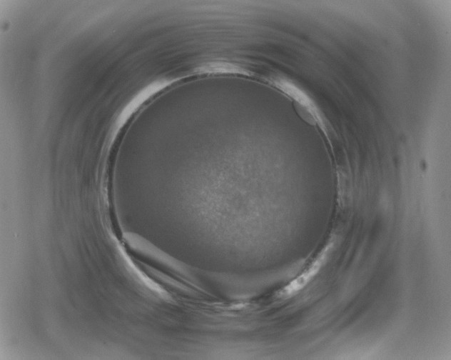 X0000080751141200612151308