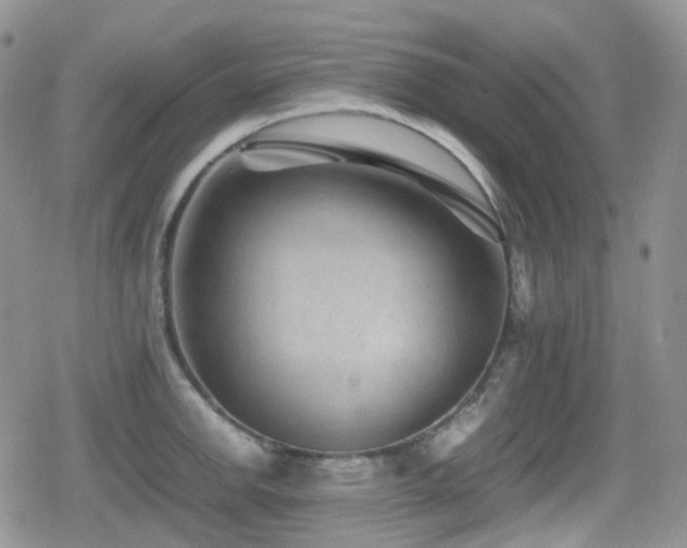 X0000080751142200612151308