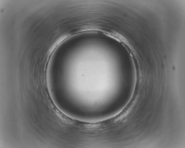 X0000080751145200612151308
