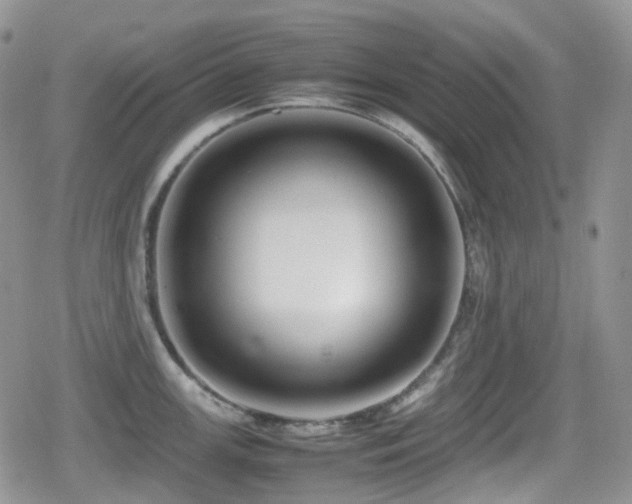 X0000080751147200612151308
