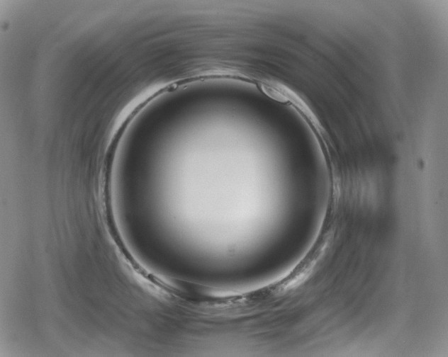 X0000080751149200612151308