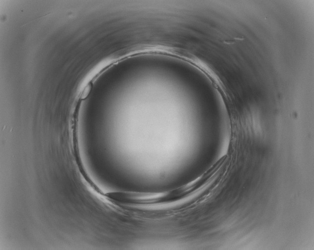 X0000080751151200612151308