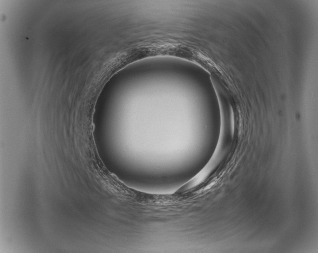 X0000080751153200612151307