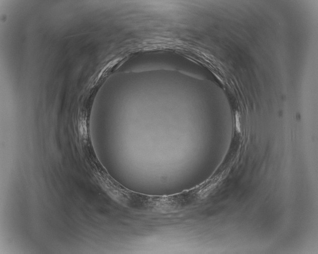 X0000080751155200612151307