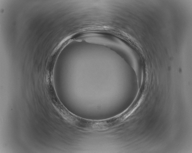 X0000080751161200612151307