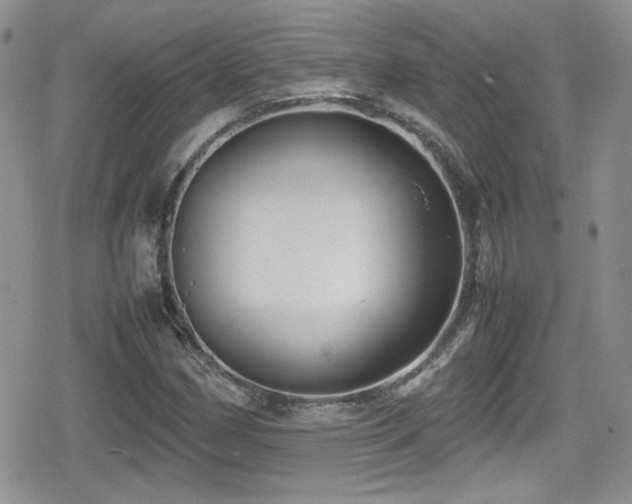 X0000080751162200612151307