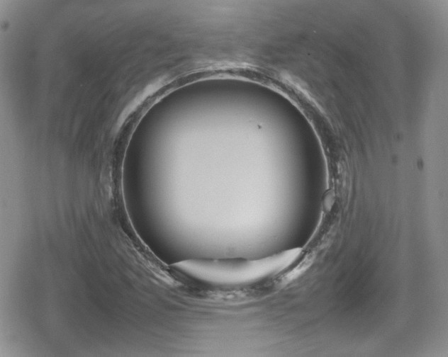 X0000080751165200612151307