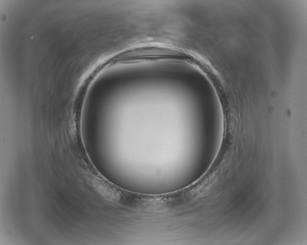 X0000080751167200612151307