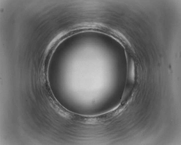X0000080751172200612151307
