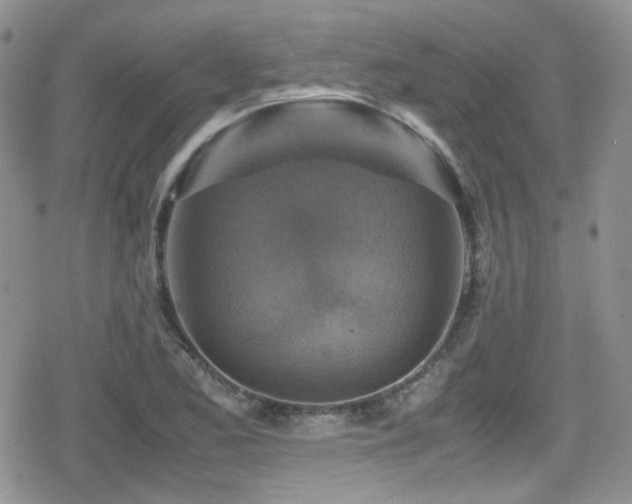 X0000080751173200612151307