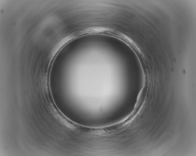X0000080751186200612151307
