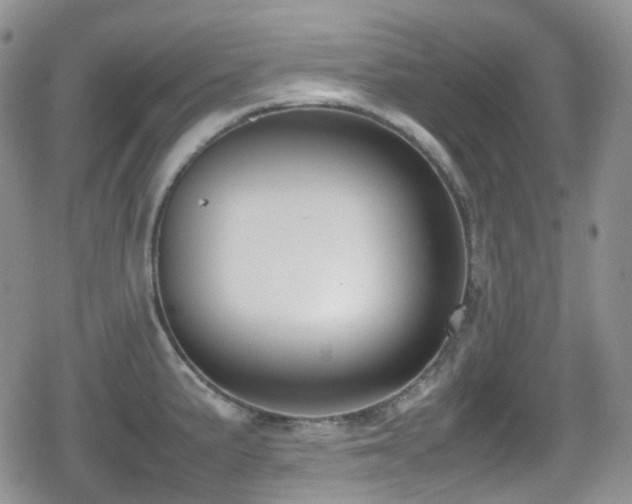 X0000080751191200612151307