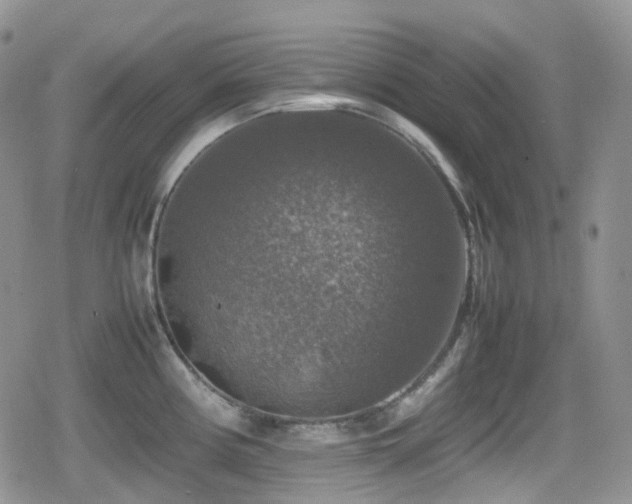 X0000080751194200612151307