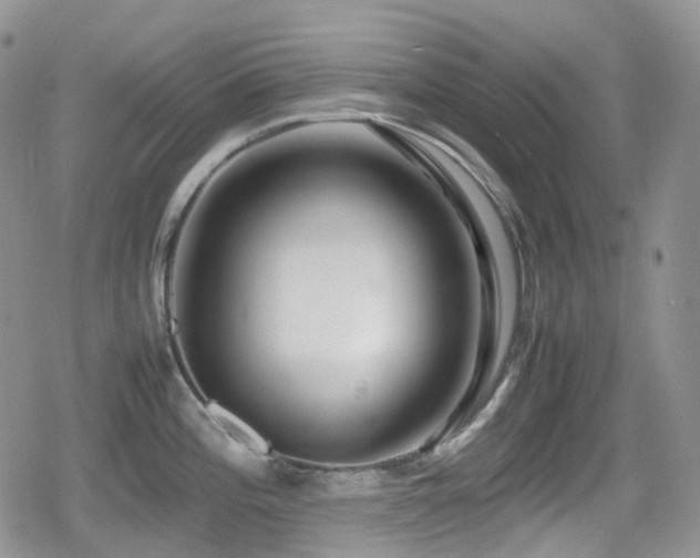 X0000080751196200612151307