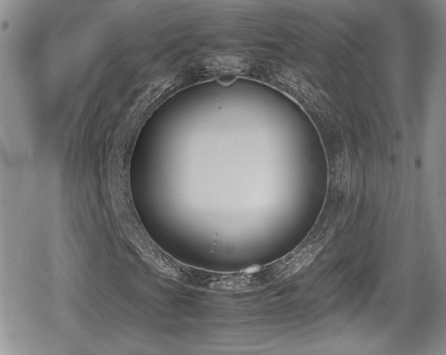 X0000080751201200612151306