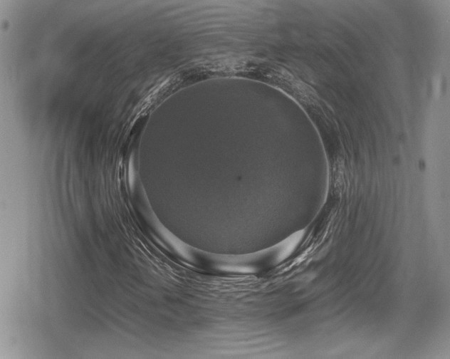 X0000080751202200612151306