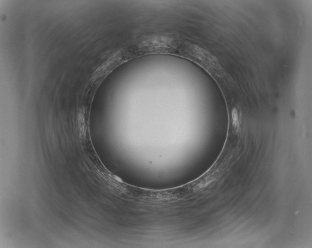X0000080751203200612151306