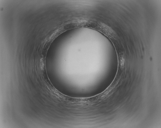X0000080751204200612151306
