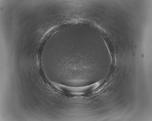 X0000080751206200612151306