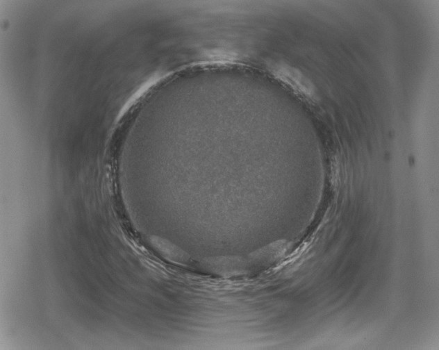 X0000080751208200612151306