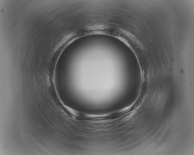 X0000080751209200612151306