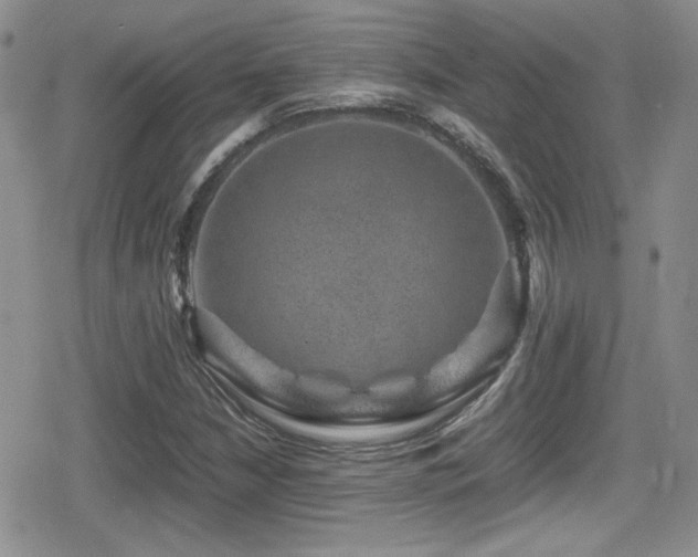 X0000080751210200612151306