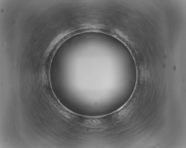 X0000080751215200612151306