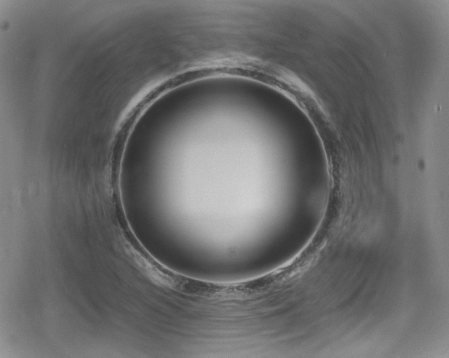 X0000080751216200612151306