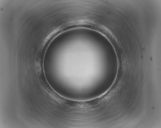 X0000080751218200612151306