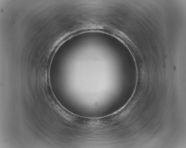 X0000080751220200612151306