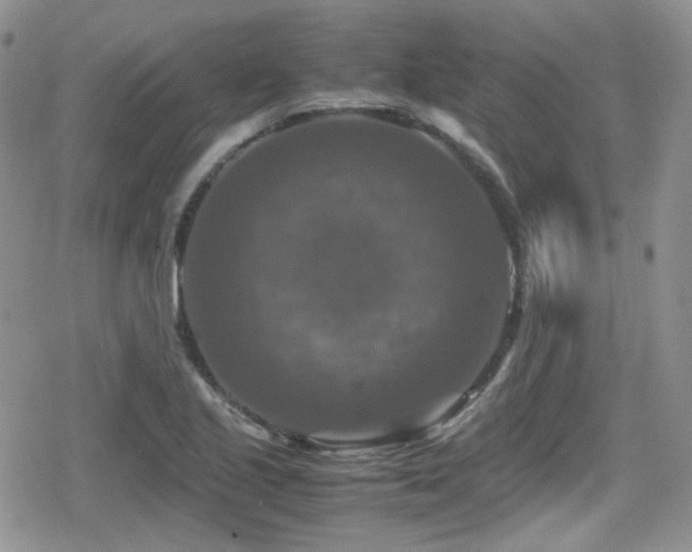X0000080751221200612151306