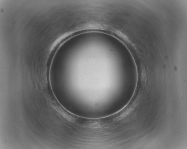 X0000080751222200612151306