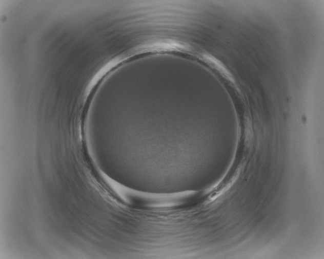 X0000080751226200612151306
