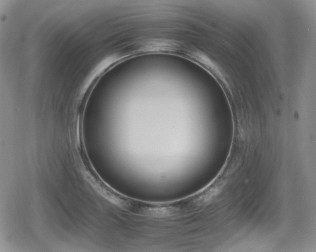 X0000080751227200612151306