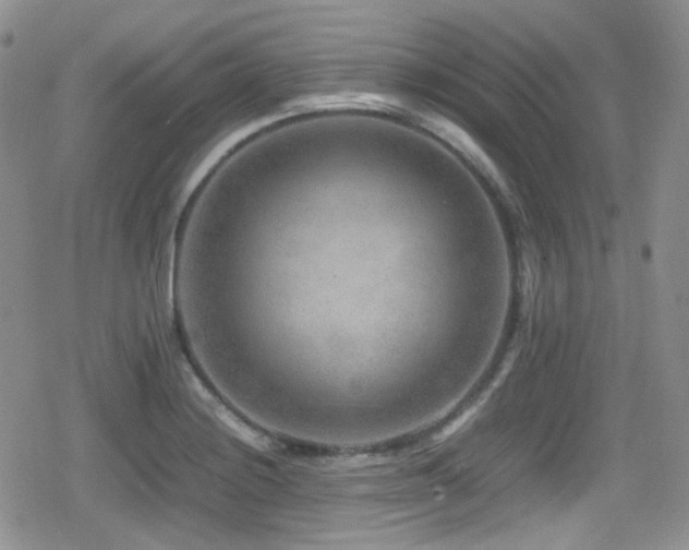 X0000080751228200612151306