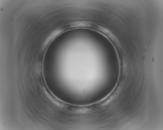 X0000080751233200612151306