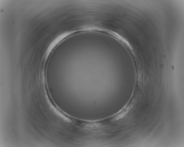 X0000080751239200612151306
