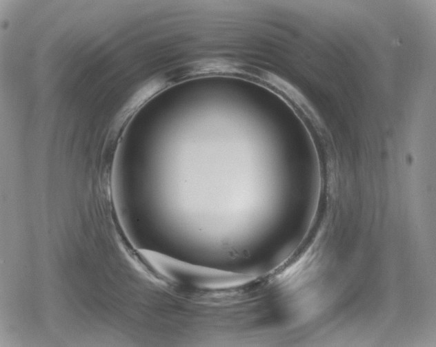 X0000080751241200612151306