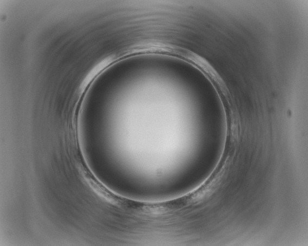 X0000080751242200612151306