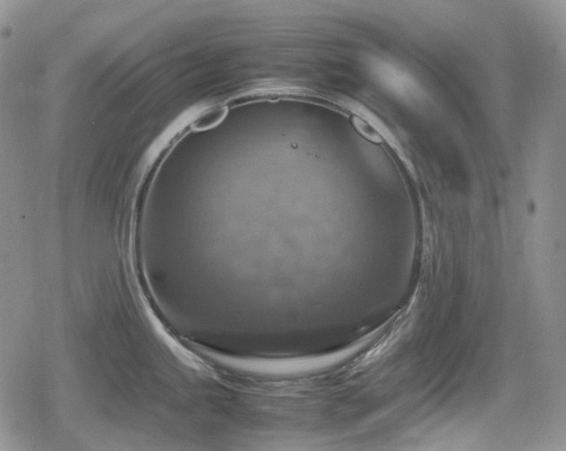 X0000080751245200612151306