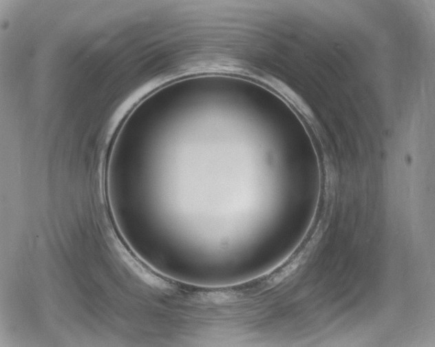 X0000080751246200612151306