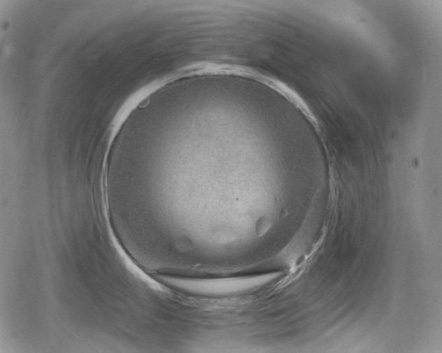 X0000080751247200612151306