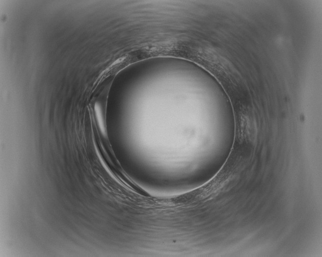X0000080751250200612151306
